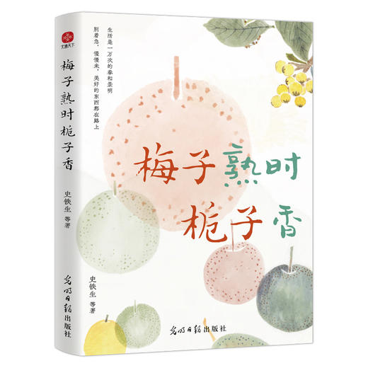梅子熟时栀子香 商品图0