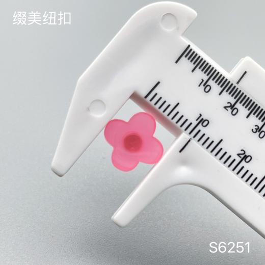 S6251(整包购买) 商品图7