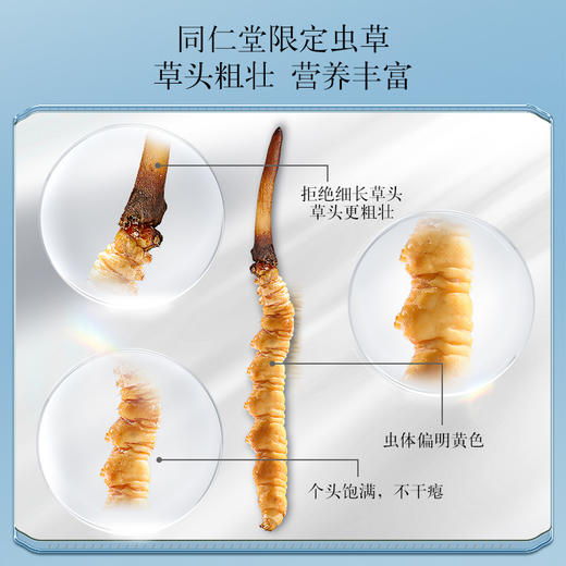 【正宗同仁堂品牌】北京同仁堂 青源堂 新鲜虫草0.81-1.0克/条 50条装 草头粗壮 优中选优 智能生态锁鲜SY 商品图3