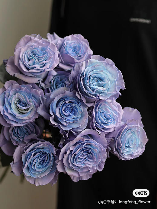 厄瓜多尔-【Blue lavender】蓝心薰衣草 商品图0