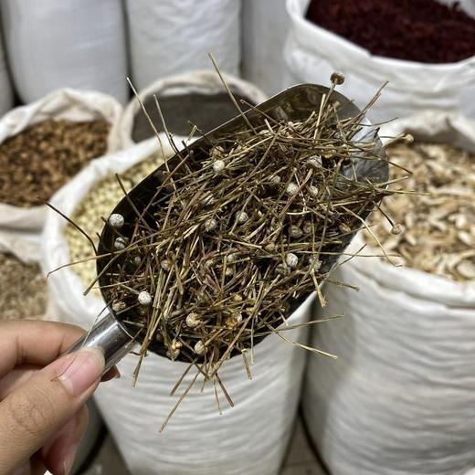 谷精草 商品图4