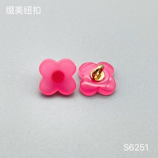 S6251(整包购买) 商品图3