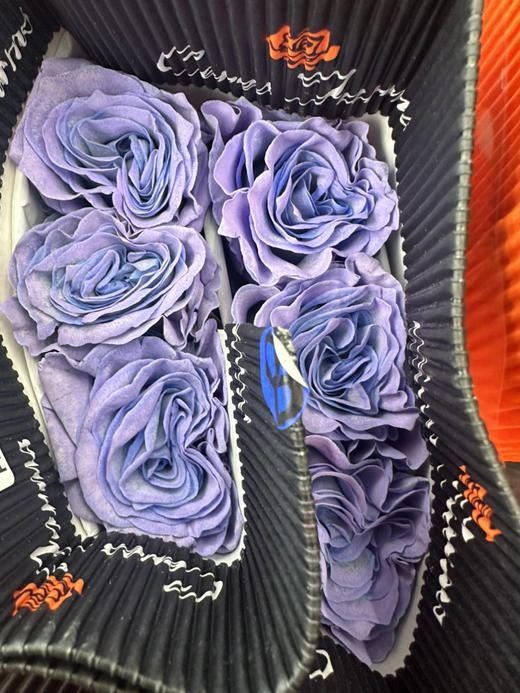 厄瓜多尔-【Blue lavender】蓝心薰衣草 商品图2