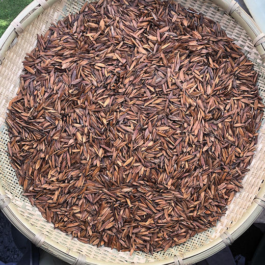 喜树果 商品图0