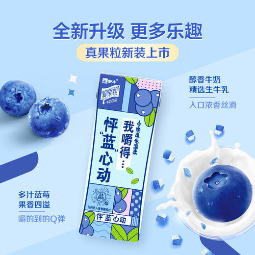 蒙牛-真果粒蓝莓果粒牛奶饮品250g *12/箱 商品图2