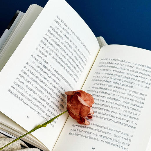 政治与文化 ：安德烈·马尔罗讲演访谈录 1925-1975 轻与重文丛 商品图9