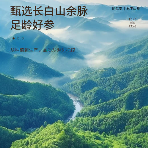 【正宗同仁堂品牌】北京同仁堂 林下山参 1-1.5g/C 自然参香味足 15年参 长白山脉原产 应季手工采挖 自然晾晒SY 商品图3
