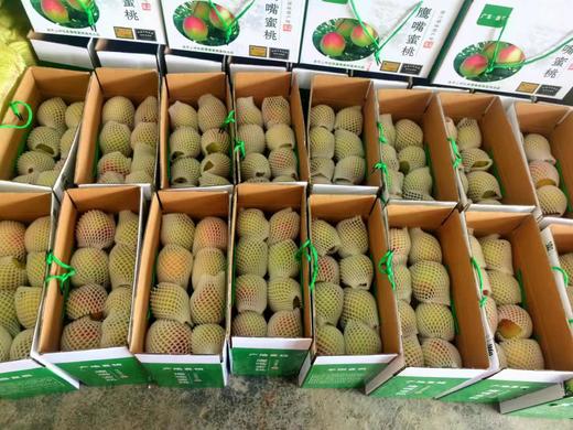 正宗连平鹰嘴桃，产地果园直供精选大果，现摘现发~省内京东冷链包邮到家 商品图0