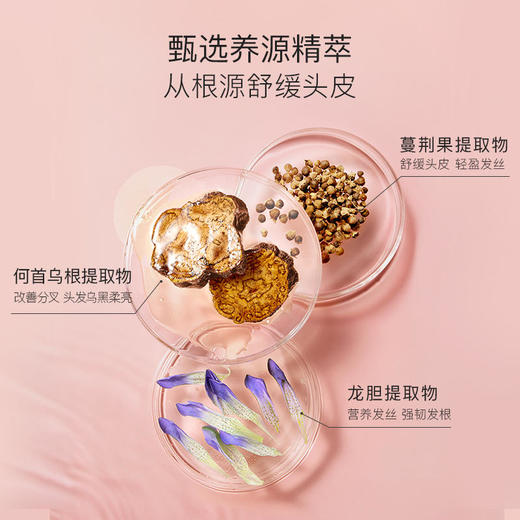 贝德美bodorme儿童蓝甘菊洗发水 商品图2