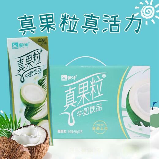 蒙牛-真果粒椰果果粒牛奶饮品250g *12/箱 商品图4