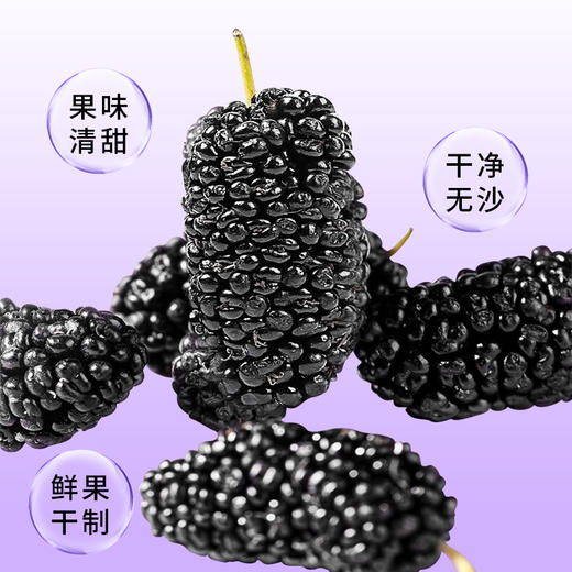 【宜昌助农馆】黑桑葚袋泡茶  甄选头茬桑葚干 口感清香 8g*15包 商品图2