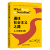 通往社会主义之路：美国工人世界党文集 商品缩略图0