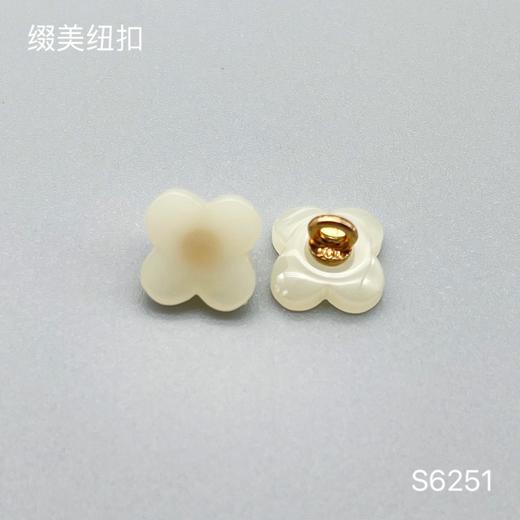 S6251(整包购买) 商品图2