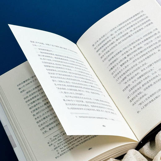 政治与文化 ：安德烈·马尔罗讲演访谈录 1925-1975 轻与重文丛 商品图12