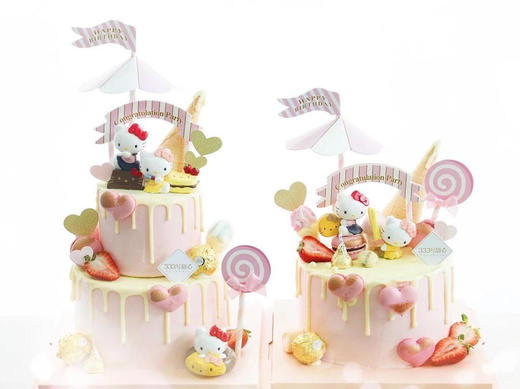 happy kitty 商品图2