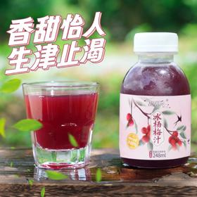 甜甜采冰杨梅汁 贵州高原自然熟荸荠杨梅 黄金酸甜比 清甜解腻