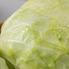 【云南有机水果甘蓝】水润清甜 有机种植 减脂搭档 商品缩略图3