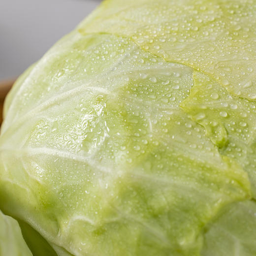 【云南有机水果甘蓝】水润清甜 有机种植 减脂搭档 商品图3