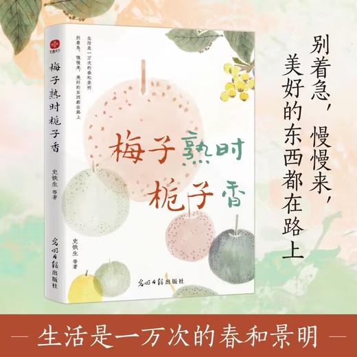 梅子熟时栀子香 商品图2