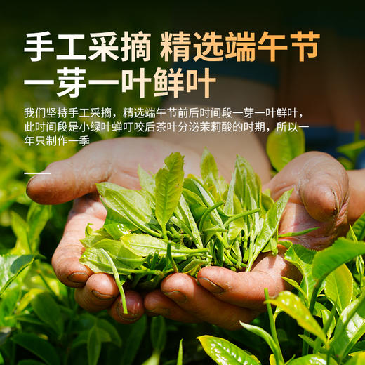 凤宁号滇红伴手礼【东方美人】60克/盒 商品图7