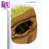 【中商原版】超级英雄野外指南 鼹鼠 Moles 英文原版 儿童科普绘本 动物知识百科图画书 进口儿童读物 8-12岁 自然科学绘本 商品缩略图2