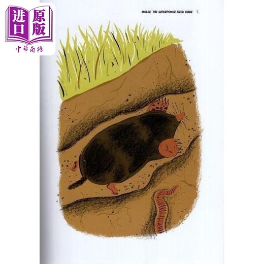 【中商原版】超级英雄野外指南 鼹鼠 Moles 英文原版 儿童科普绘本 动物知识百科图画书 进口儿童读物 8-12岁 自然科学绘本 商品图2