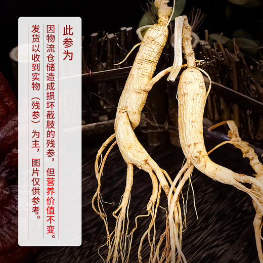 热售【林下参残参礼盒】吉林长白山林下参参残志坚营养不减20g 商品图6