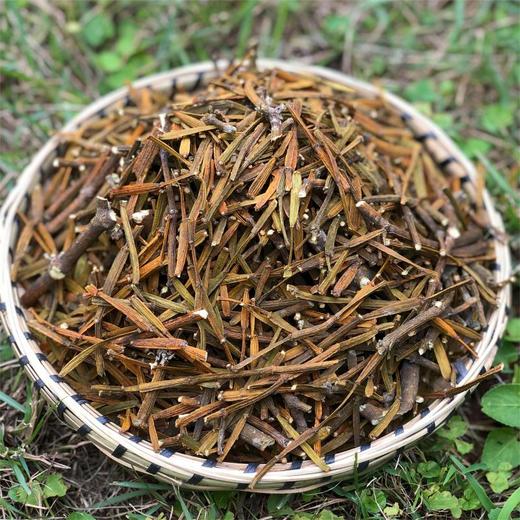 槲寄生  螃蟹脚 商品图4