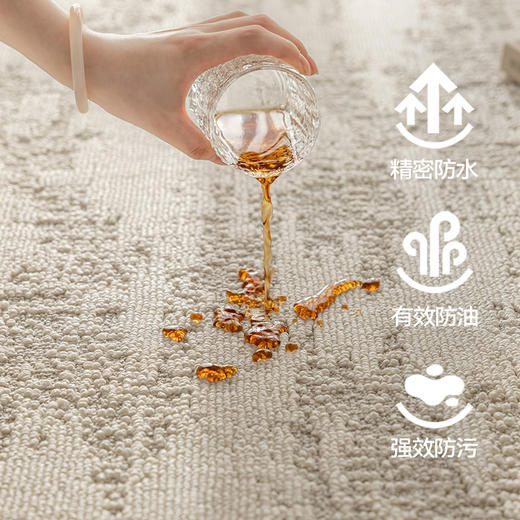 【春和】金蝉重磅三防工艺绒感地毯 商品图1