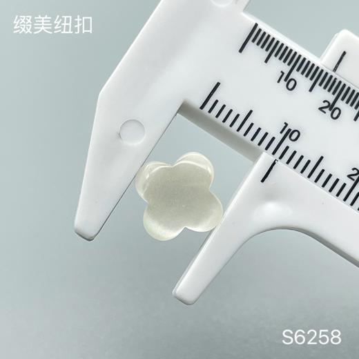 S6258(整包购买) 商品图1