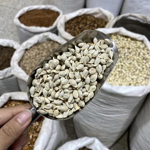 橘核 生橘核 桔核 商品图4