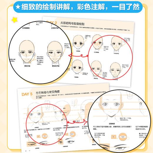 每天15分钟 描着描着*会了 动漫人物基础描摹本 商品图4