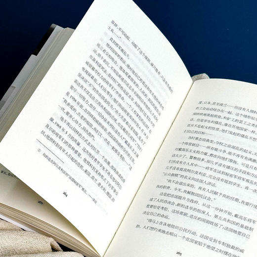 政治与文化 ：安德烈·马尔罗讲演访谈录 1925-1975 轻与重文丛 商品图11