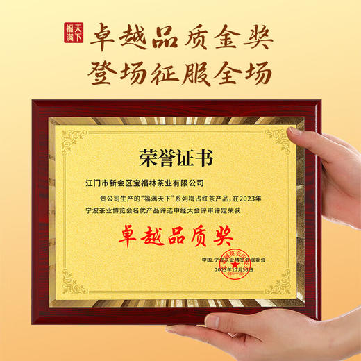 宝福林福满天下·金骏眉 商品图3