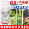 30%敌百辛硫磷敌百虫辛硫磷复配大田作物水稻二化螟专用杀虫剂 商品缩略图3