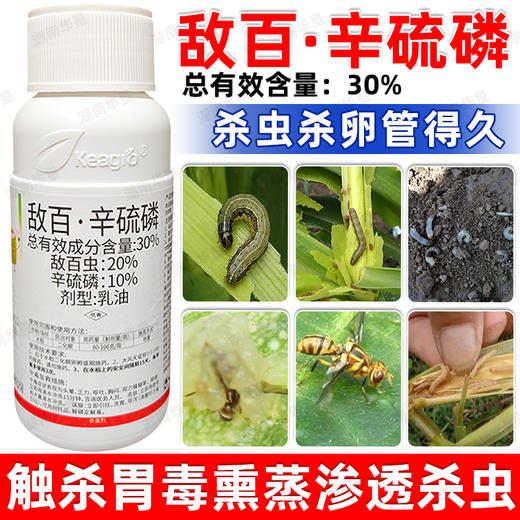 30%敌百辛硫磷敌百虫辛硫磷复配大田作物水稻二化螟专用杀虫剂 商品图3