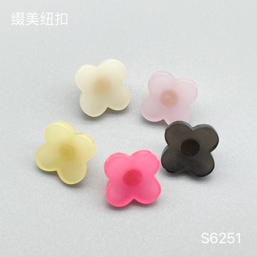 S6251(整包购买) 商品图0