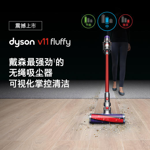 戴森(Dyson) 吸尘器 V11 FLUFFY 无绳吸尘器家用除螨无线手持宠物家庭适用 商品图1