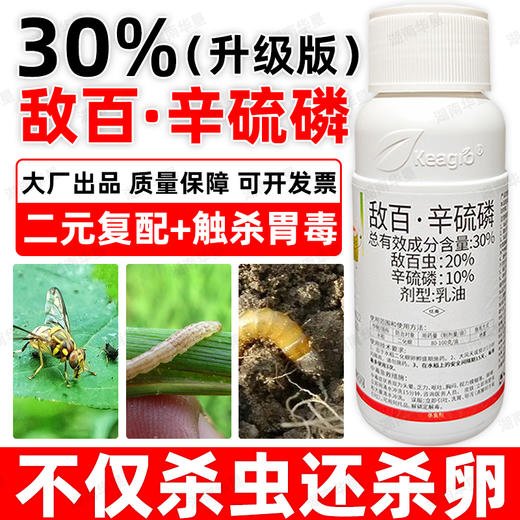 30%敌百辛硫磷敌百虫辛硫磷复配大田作物水稻二化螟专用杀虫剂 商品图1