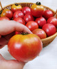 国家地理标志 绿色认证 碱地种植【CCTV推荐-盒马同款盘锦碱地西红柿】高于普通番茄VC含量  顺丰速递 新鲜送到家 商品缩略图12