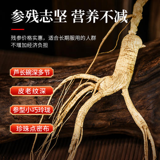 热售【林下参残参礼盒】吉林长白山林下参参残志坚营养不减20g 商品图2