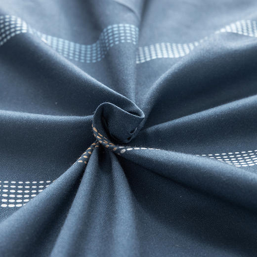 多喜爱 全棉新疆棉斜纹三/四件套 万象之马 商品图4