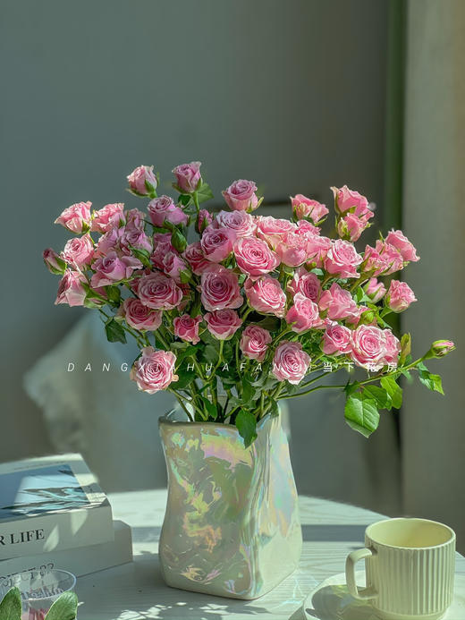 【AB级诺拉多头玫瑰.第二份减10元】5支/份 长约60-65cm 商品图9