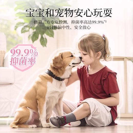 【13元会员福利】蔬果园高浓缩香氛地板水500g   商品图3