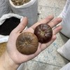 风流果 商品缩略图4
