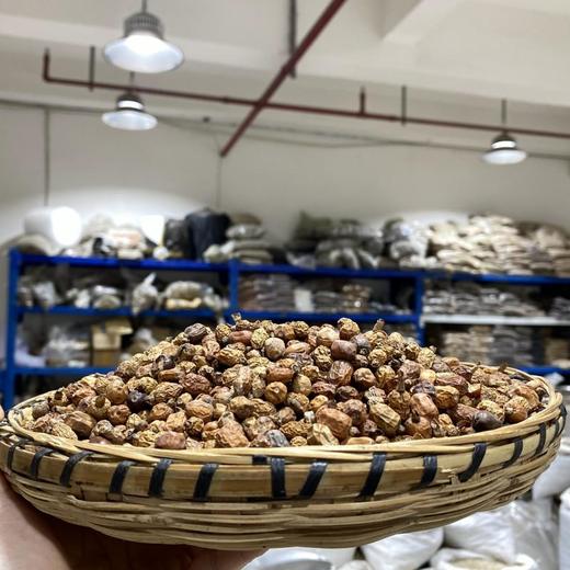 红豆蔻 商品图1