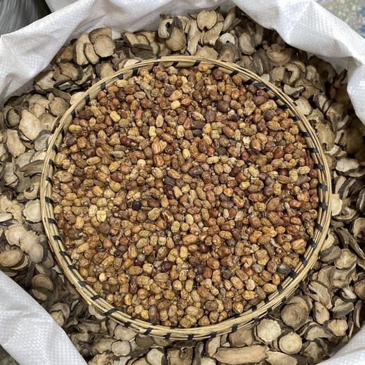 红豆蔻 商品图2