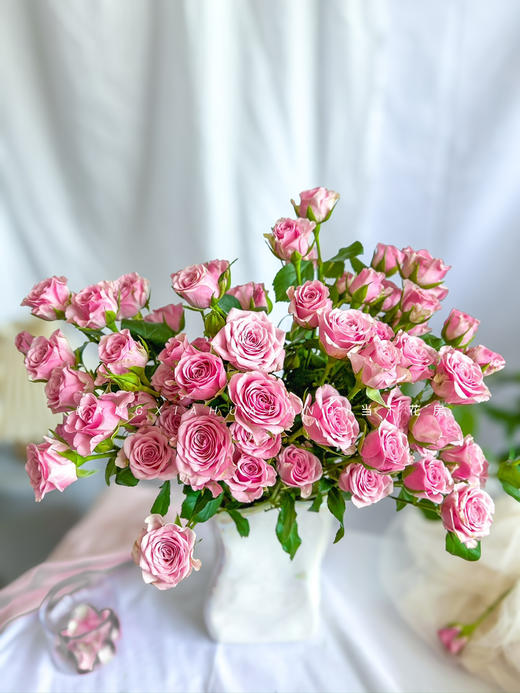 【AB级诺拉多头玫瑰.第二份减10元】5支/份 长约60-65cm 商品图5