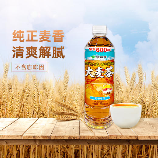 伊藤园大麦茶600ml(6958959708253) 商品图0