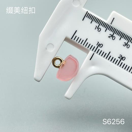 S6256(整包购买) 商品图2